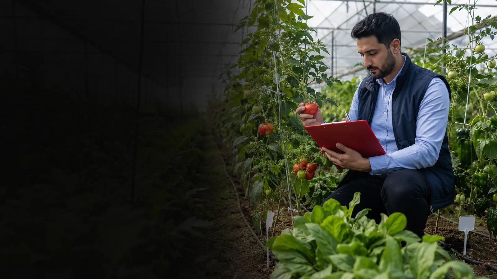 Tarım işletmesinde GLOBALG.A.P. IFA Version 6 uygunluk kontrolü